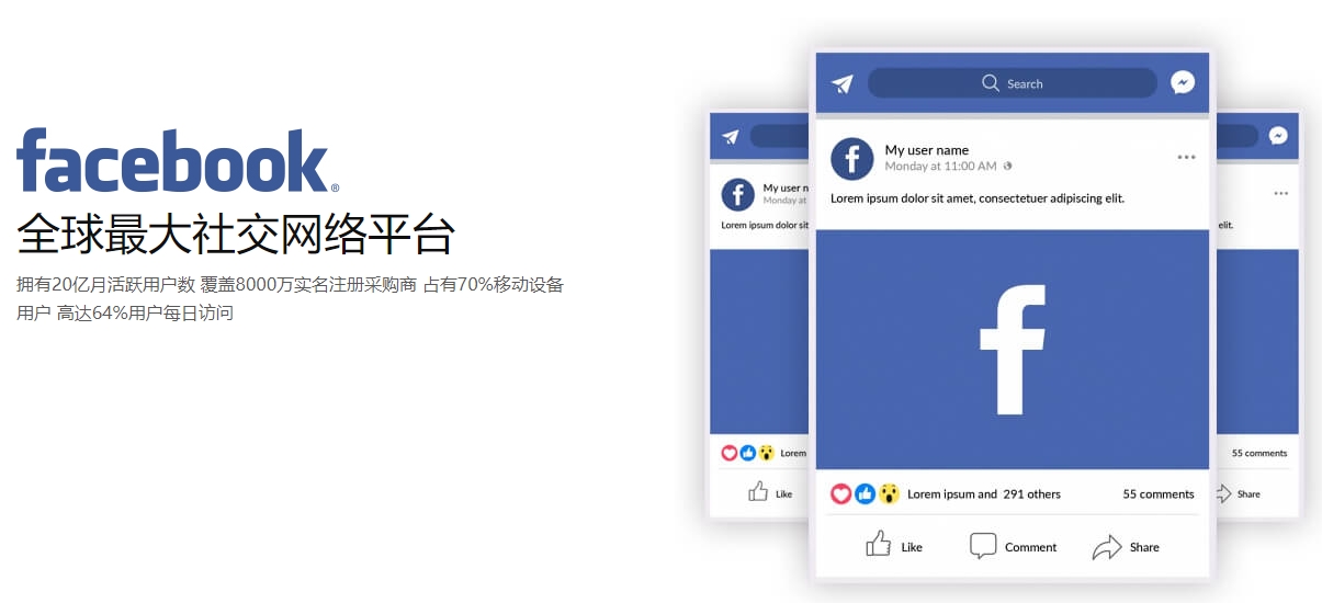 沧州海外社交媒体营销  第1张